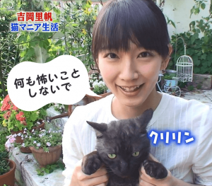 吉岡里帆が飼い猫クリリンを抱っこして関西弁を話している画像